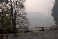 Файл=33009.JPG
Объём=64KB
Размеры=640x429
Дата=Апр 05, 2009 33009.JPG