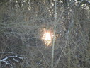 Файл=IMG_1109.JPG
Объём=1973KB
Размеры=2304x1736
Дата=Янв 08, 2012 IMG_1109.JPG