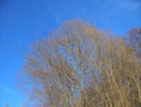 Файл=IMG_1311.JPG
Объём=2574KB
Размеры=2304x1736
Дата=Янв 08, 2012 IMG_1311.JPG