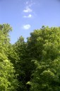 Файл=36033.JPG
Объём=87KB
Размеры=429x640
Дата=Апр 05, 2009 36033.JPG