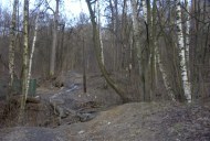 Файл=36035.JPG
Объём=90KB
Размеры=640x429
Дата=Апр 05, 2009 36035.JPG