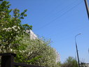 Файл=IMG_1484.JPG
Объём=2180KB
Размеры=2304x1736
Дата=Янв 08, 2012 IMG_1484.JPG