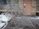 Файл=IMG_5005.JPG
Объём=2395KB
Размеры=2304x1736
Дата=Янв 08, 2012 IMG_5005.JPG