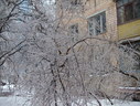 Файл=IMG_5006.JPG
Объём=2766KB
Размеры=2304x1736
Дата=Янв 08, 2012 IMG_5006.JPG