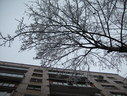 Файл=IMG_5007.JPG
Объём=2630KB
Размеры=2304x1736
Дата=Янв 08, 2012 IMG_5007.JPG