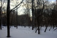 Файл=41016.JPG
Объём=87KB
Размеры=640x429
Дата=Апр 05, 2009 41016.JPG