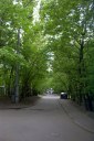 Файл=41024.JPG
Объём=98KB
Размеры=429x640
Дата=Апр 05, 2009 41024.JPG