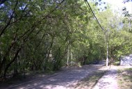 Файл=41039.JPG
Объём=114KB
Размеры=640x429
Дата=Апр 05, 2009 41039.JPG