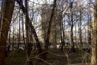 Файл=41044.JPG
Объём=123KB
Размеры=640x429
Дата=Апр 05, 2009 41044.JPG