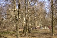 Файл=41045.JPG
Объём=128KB
Размеры=640x429
Дата=Апр 05, 2009 41045.JPG