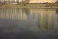 Файл=43016.JPG
Объём=43KB
Размеры=640x429
Дата=Апр 05, 2009 43016.JPG