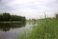Файл=43087.JPG
Объём=62KB
Размеры=640x429
Дата=Апр 05, 2009 43087.JPG