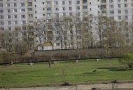 Файл=43111.JPG
Объём=68KB
Размеры=640x429
Дата=Апр 05, 2009 43111.JPG