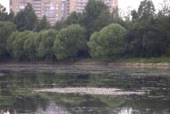 Файл=43115.JPG
Объём=68KB
Размеры=640x429
Дата=Апр 05, 2009 43115.JPG