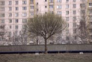 Файл=43127.JPG
Объём=71KB
Размеры=640x429
Дата=Апр 05, 2009 43127.JPG
