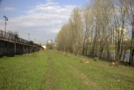 Файл=43152.JPG
Объём=83KB
Размеры=640x429
Дата=Апр 05, 2009 43152.JPG