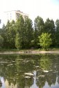 Файл=43158.JPG
Объём=88KB
Размеры=429x640
Дата=Апр 05, 2009 43158.JPG