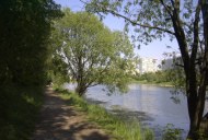 Файл=43161.JPG
Объём=91KB
Размеры=640x429
Дата=Апр 05, 2009 43161.JPG