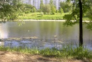 Файл=43167.JPG
Объём=103KB
Размеры=640x429
Дата=Апр 05, 2009 43167.JPG