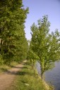 Файл=43169.JPG
Объём=106KB
Размеры=429x640
Дата=Апр 05, 2009 43169.JPG