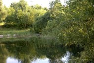 Файл=43170.JPG
Объём=107KB
Размеры=640x429
Дата=Апр 05, 2009 43170.JPG