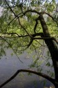 Файл=43171.JPG
Объём=109KB
Размеры=429x640
Дата=Апр 05, 2009 43171.JPG