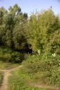 Файл=43174.JPG
Объём=117KB
Размеры=429x640
Дата=Апр 05, 2009 43174.JPG