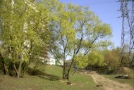 Файл=43175.JPG
Объём=119KB
Размеры=640x429
Дата=Апр 05, 2009 43175.JPG