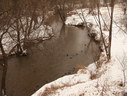 Файл=IMG_1026.JPG
Объём=2611KB
Размеры=2304x1736
Дата=Янв 08, 2012 IMG_1026.JPG