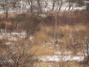 Файл=IMG_1036.JPG
Объём=2543KB
Размеры=2304x1736
Дата=Янв 08, 2012 IMG_1036.JPG