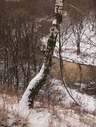 Файл=IMG_1040.JPG
Объём=2946KB
Размеры=1736x2304
Дата=Янв 08, 2012 IMG_1040.JPG