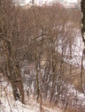 Файл=IMG_1042.JPG
Объём=3223KB
Размеры=1736x2304
Дата=Янв 08, 2012 IMG_1042.JPG