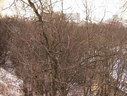 Файл=IMG_1043.JPG
Объём=2926KB
Размеры=2304x1736
Дата=Янв 08, 2012 IMG_1043.JPG