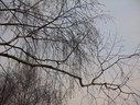 Файл=IMG_1044.JPG
Объём=2798KB
Размеры=2304x1736
Дата=Янв 08, 2012 IMG_1044.JPG
