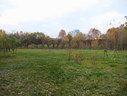Файл=IMG_2461.JPG
Объём=1825KB
Размеры=2304x1736
Дата=Янв 08, 2012 IMG_2461.JPG