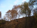 Файл=IMG_2475.JPG
Объём=2699KB
Размеры=2304x1736
Дата=Янв 08, 2012 IMG_2475.JPG