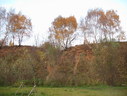 Файл=IMG_2477.JPG
Объём=2398KB
Размеры=2304x1736
Дата=Янв 08, 2012 IMG_2477.JPG