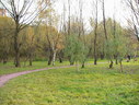 Файл=IMG_2479.JPG
Объём=2787KB
Размеры=2304x1736
Дата=Янв 08, 2012 IMG_2479.JPG