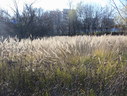 Файл=IMG_4806.JPG
Объём=3026KB
Размеры=2304x1736
Дата=Янв 08, 2012 IMG_4806.JPG