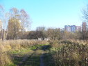 Файл=IMG_4807.JPG
Объём=2641KB
Размеры=2304x1736
Дата=Янв 08, 2012 IMG_4807.JPG