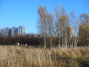 Файл=IMG_4808.JPG
Объём=2721KB
Размеры=2304x1736
Дата=Янв 08, 2012 IMG_4808.JPG