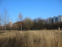 Файл=IMG_4809.JPG
Объём=2223KB
Размеры=2304x1736
Дата=Янв 08, 2012 IMG_4809.JPG