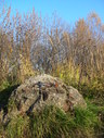 Файл=IMG_4823.JPG
Объём=3285KB
Размеры=1736x2304
Дата=Янв 08, 2012 IMG_4823.JPG