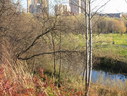 Файл=IMG_4826.JPG
Объём=3546KB
Размеры=2304x1736
Дата=Янв 08, 2012 IMG_4826.JPG