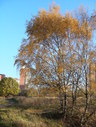 Файл=IMG_4830.JPG
Объём=3224KB
Размеры=1736x2304
Дата=Янв 08, 2012 IMG_4830.JPG