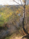 Файл=IMG_4831.JPG
Объём=3130KB
Размеры=1736x2304
Дата=Янв 08, 2012 IMG_4831.JPG