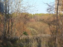 Файл=IMG_4837.JPG
Объём=2906KB
Размеры=2304x1736
Дата=Янв 08, 2012 IMG_4837.JPG