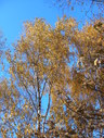 Файл=IMG_4839.JPG
Объём=3427KB
Размеры=1736x2304
Дата=Янв 08, 2012 IMG_4839.JPG
