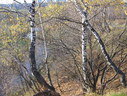 Файл=IMG_4840.JPG
Объём=3700KB
Размеры=2304x1736
Дата=Янв 08, 2012 IMG_4840.JPG
