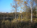 Файл=IMG_4843.JPG
Объём=2866KB
Размеры=2304x1736
Дата=Янв 08, 2012 IMG_4843.JPG